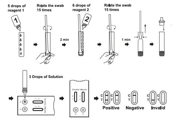 Gonorrhea chlamydia combo Self-Test Kit